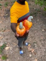 Reflections: The New Cashew Harvest Season in Tanzania